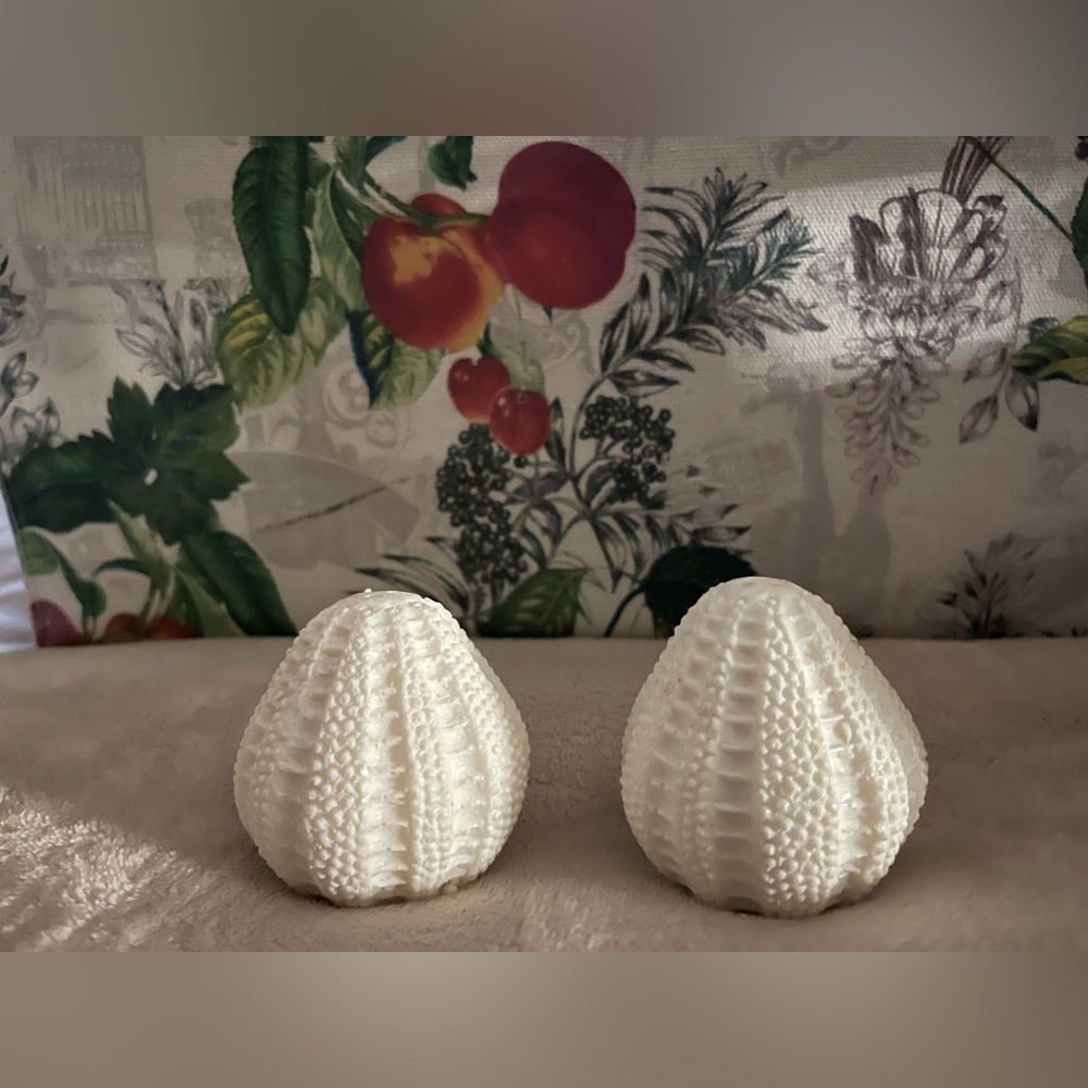 Pottery Barn Sea Urchin Salt and Pepper Shaker Set NEW